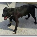 다금농장 이미지