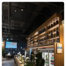 대전 봉명동 분위기 좋은 이탈리안 레스토랑 컴히얼 내돈내산 후기