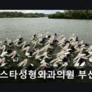 제이스타성형외과의원 네이버블로그