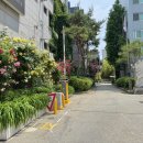 세븐일레븐 홍대6번출구점 이미지