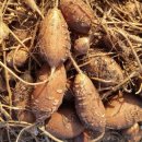 경북대학교 농업생명융합대학원 이미지