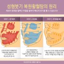 피브로한의원 이미지