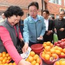 강구시장 이미지