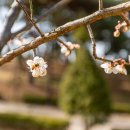 논산시민공원 이미지