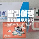 P-6116 | [여행준비중] 항공권,숙박,기타 등등등 여행준비하기. (feat. 이미 갔다온 거 같다.)
