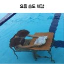 캐리영어 | 취준생 일상 | 전화영어 첫 수업 후기..가 있었는데 없습니다