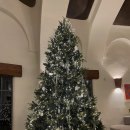 에코랜드 | 에코랜드 호텔 후기｜디럭스레이크뷰 객실·온수 인피니티풀·헬스장 리뷰