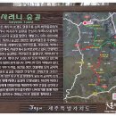 (주)사려니 이미지