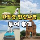 기계사막 | 🇻🇳나트랑 4박6일 | 4일차 피크타임 나트랑 판랑사막 투어 솔직후기(양떼목장, 복장추천)