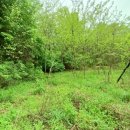 수원-0793 이미지