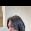 하올디자인 이미지