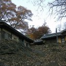 양계정사 이미지