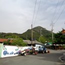 마을회관 정자옆 티스토리