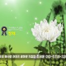 예사랑라이프 - 유성구 진잠로70번길 45 | 예사랑라이프