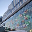 냥냥펀치 | 2026마곡냥냥펀치캣쇼_ 참가후기