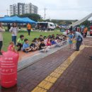 세화초등학교 미디어제주