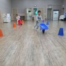 천상잔디유치원 이미지