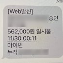 마이빈