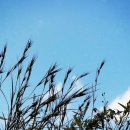 청도행정사사무소 이미지