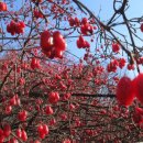 사랑이 머무는 미래 이미지