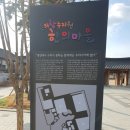 영천한방테마거리 이미지