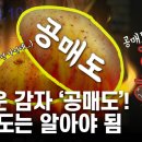 동학개미티브이 이미지