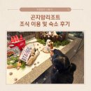 곤지암리조트 조식 및 숙소 후기(feat. 불꽃놀이)