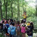 국립자연휴양림관리소 회문산자연휴양림 이미지
