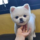 루이야학교가자 이미지