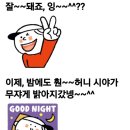 인하카마스타 이미지