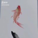 물고기그리기 이미지