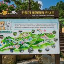 진도개테마파크 이미지