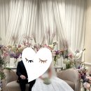 [웨딩홀투어] ☆상록아트홀 하객 후기 및 상담 받은 가격 공유o (견적 공유중)
