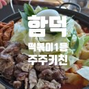 주주애견 | (함덕)함덕 즉석떡볶이 맛집 주주키친, 차돌박이 고기즉떡 후기(애견동반 가능은 문의필요)