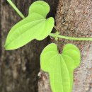 풍년양꼬치마라탕 이미지