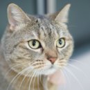 언양동물병원 이미지