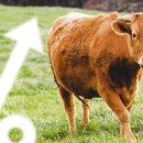 제주축산농협 축산물공판장 이미지