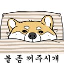 연무회수산시장