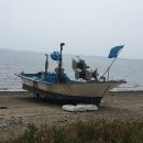 영풍농약 | 양약을 끊어야 병이 낫는다.-서장석지음- 이회출판사-
