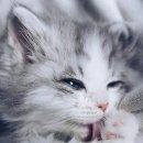 떠나자~세계로 이미지