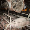 보다더동물농장 이미지