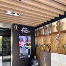 기타 | 낙원상가 기타나라 입문용 기타 구매후기