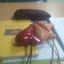 숲고을농장 이미지