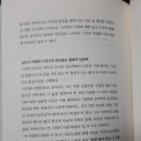 비파악기 이미지