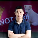 펫인푸드 이미지