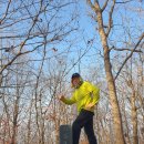 1036 | 1036)침곡산 37)태화산 (경북 포항시)낙동정맥13(가사령~한티재)