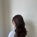 헤어컷 & 펌+ 염색 마스터 이미지
