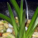 올젠테크놀로지 이미지