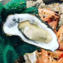 보령베스트 이미지