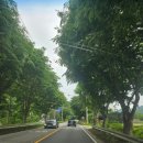 횡성산울림오토캠핑장 | [일상기록] 횡성 산울림 캠핑장 2박3일 부족하지도 넘치지도않는 꼭 다시갈 캠핑장 (횡성한우&amp;횡성태양...